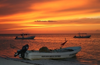 Paseos de pesca